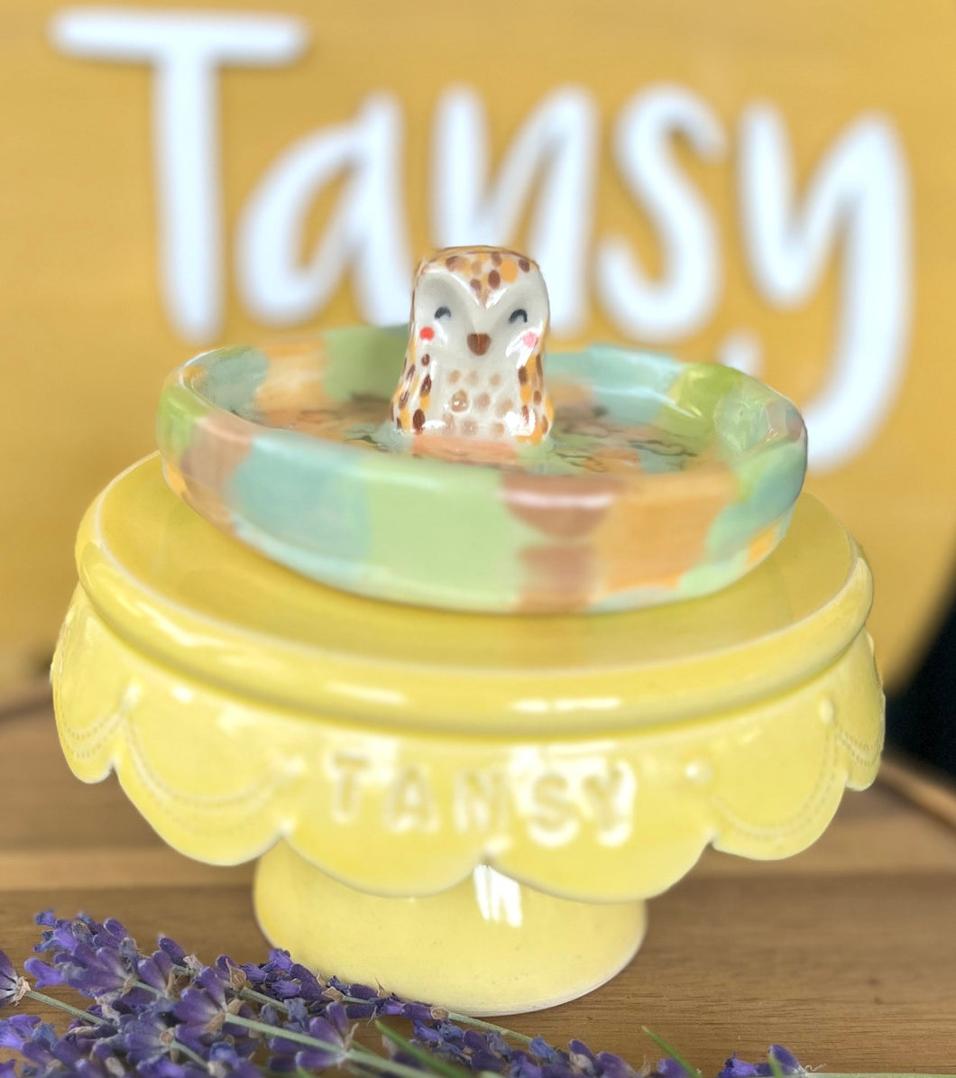 small Autumn Owl Trinket Dish
